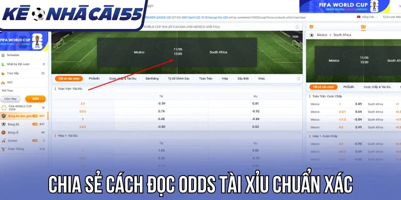 Chia sẻ cách đọc odds tài xỉu chuẩn xác