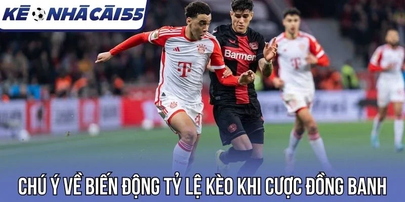 Chú ý về biến động tỷ lệ kèo khi cược đồng banh