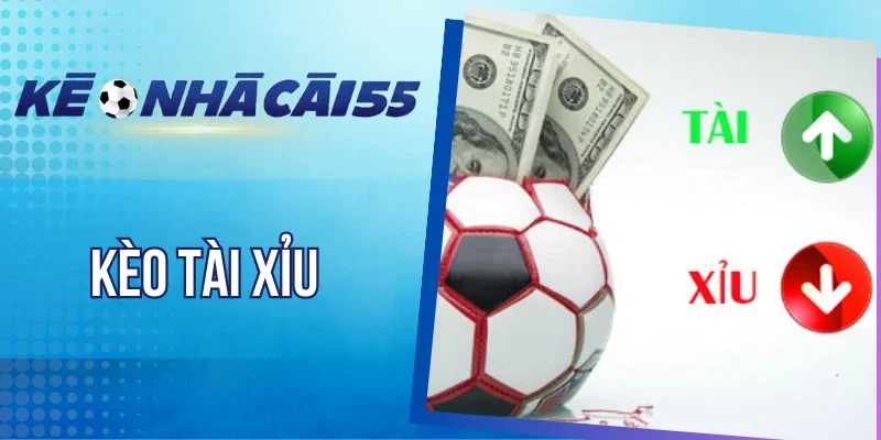 Cẩm nang soi kèo Over/Under từ cao thủ