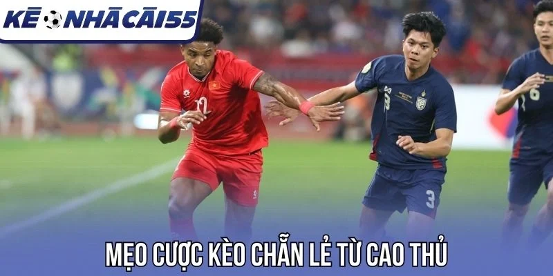 Mẹo cược kèo chẵn lẻ từ cao thủ