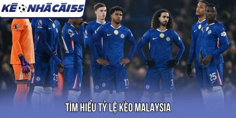Tìm hiểu tỷ lệ kèo Malaysia