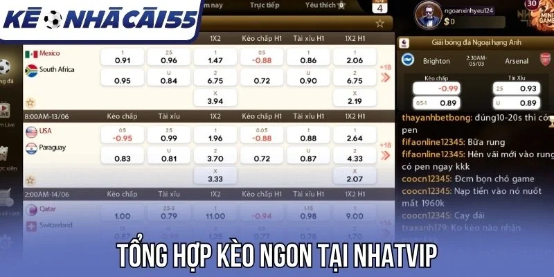 Tổng hợp kèo chất tại Nhatvip