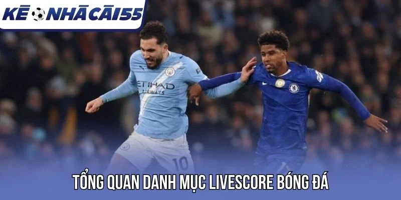 Tổng quan danh mục livescore bóng đá